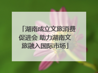 湖南成立文旅消费促进会 助力湖南文旅融入国际市场