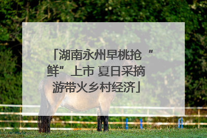 湖南永州早桃抢“鲜”上市 夏日采摘游带火乡村经济