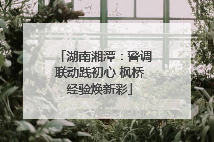 湖南湘潭：警调联动践初心 枫桥经验焕新彩