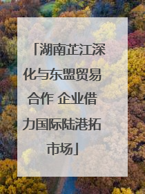 湖南芷江深化与东盟贸易合作 企业借力国际陆港拓市场
