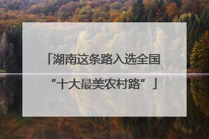湖南这条路入选全国“十大最美农村路”