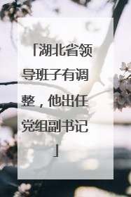 湖北省领导班子有调整，他出任党组副书记