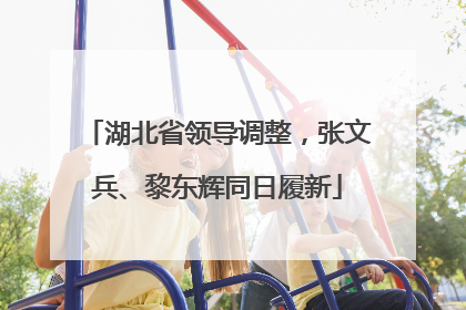 湖北省领导调整，张文兵、黎东辉同日履新