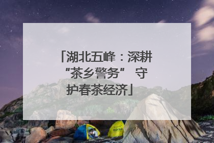 湖北五峰：深耕“茶乡警务” 守护春茶经济