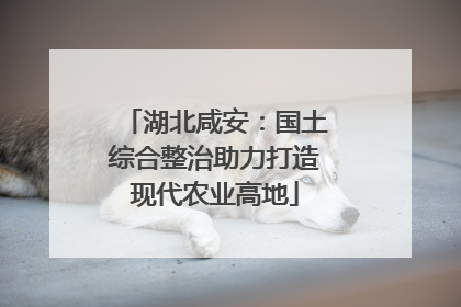 湖北咸安：国土综合整治助力打造现代农业高地