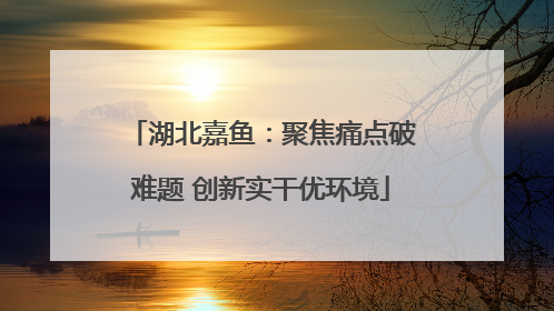 湖北嘉鱼：聚焦痛点破难题 创新实干优环境
