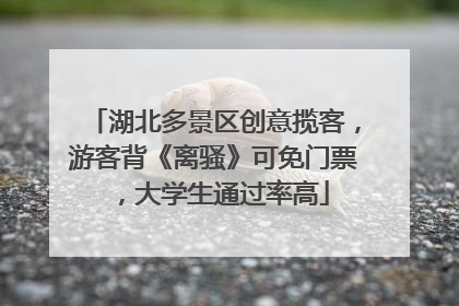 湖北多景区创意揽客，游客背《离骚》可免门票，大学生通过率高