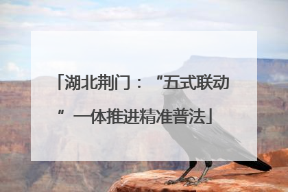 湖北荆门：“五式联动”一体推进精准普法