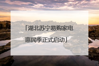 湖北苏宁易购家电惠民季正式启动