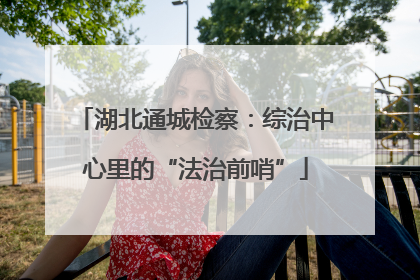 湖北通城检察：综治中心里的“法治前哨”