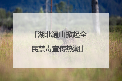 湖北通山掀起全民禁毒宣传热潮