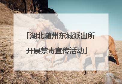 湖北随州东城派出所开展禁毒宣传活动