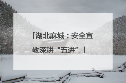 湖北麻城：安全宣教深耕“五进”