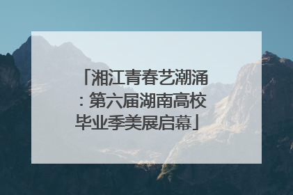 湘江青春艺潮涌：第六届湖南高校毕业季美展启幕