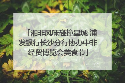 湘非风味碰撞星城 浦发银行长沙分行协办中非经贸博览会美食节