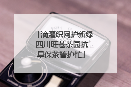 滴灌织网护新绿 四川旺苍茶园抗旱保茶管护忙