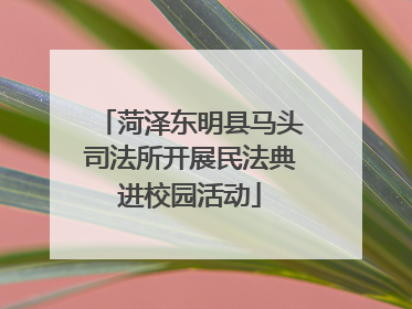 菏泽东明县马头司法所开展民法典进校园活动