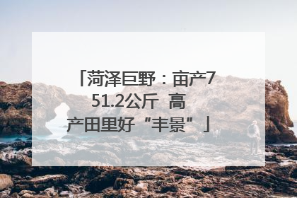 菏泽巨野：亩产751.2公斤  高产田里好“丰景”