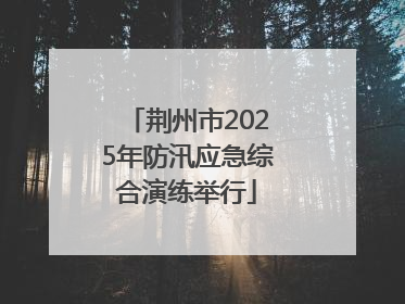 荆州市2025年防汛应急综合演练举行