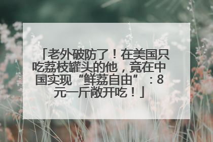 老外破防了！在美国只吃荔枝罐头的他，竟在中国实现“鲜荔自由”：8元一斤敞开吃！