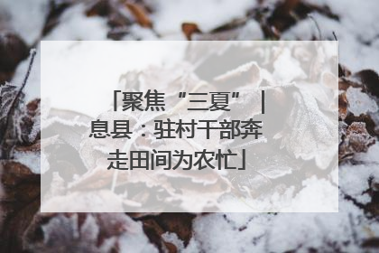 聚焦“三夏”｜息县：驻村干部奔走田间为农忙