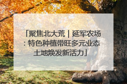 聚焦北大荒｜延军农场：特色种植带旺多元业态 土地焕发新活力