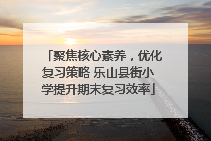 聚焦核心素养，优化复习策略 乐山县街小学提升期末复习效率