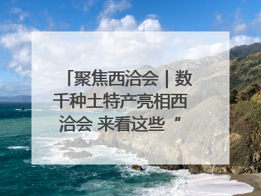 聚焦西洽会｜数千种土特产亮相西洽会 来看这些“爆款”产品
