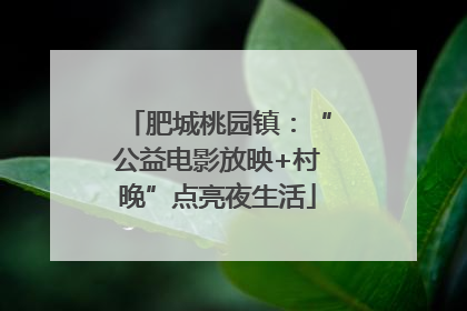 肥城桃园镇：“公益电影放映+村晚”点亮夜生活