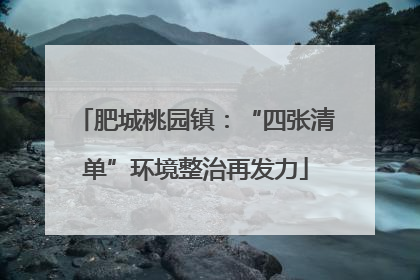 肥城桃园镇：“四张清单”环境整治再发力