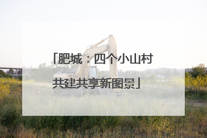 肥城：四个小山村共建共享新图景
