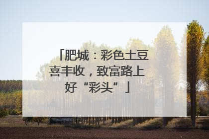 肥城：彩色土豆喜丰收，致富路上好“彩头”