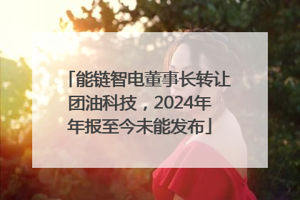 能链智电董事长转让团油科技，2024年年报至今未能发布