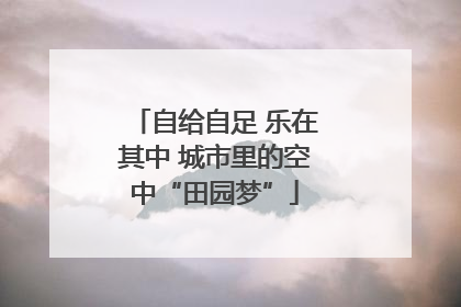 自给自足 乐在其中 城市里的空中“田园梦”