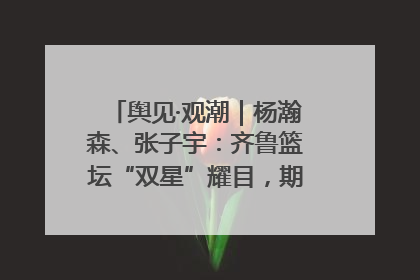 舆见·观潮｜杨瀚森、张子宇：齐鲁篮坛“双星”耀目，期许与挑战并存