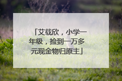 艾载欣，小学一年级，捡到一万多元现金物归原主