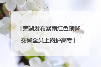 芜湖发布暴雨红色预警 交警全员上岗护高考
