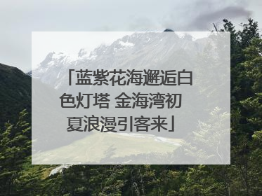 蓝紫花海邂逅白色灯塔 金海湾初夏浪漫引客来