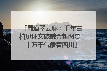 蜀道翠云廊：千年古柏见证文旅融合新图景丨万千气象看四川
