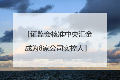 证监会核准中央汇金成为8家公司实控人