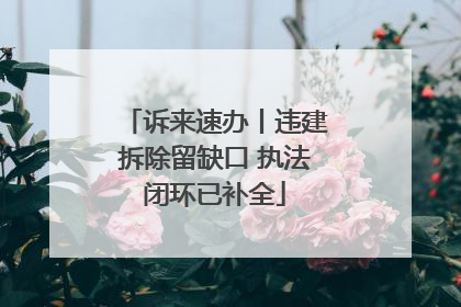 诉来速办丨违建拆除留缺口 执法闭环已补全