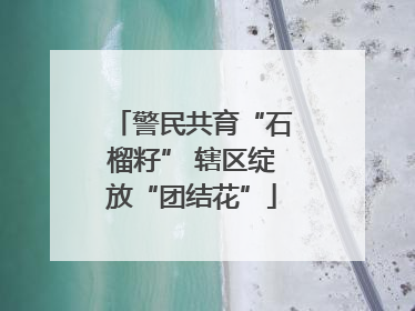 警民共育“石榴籽” 辖区绽放“团结花”