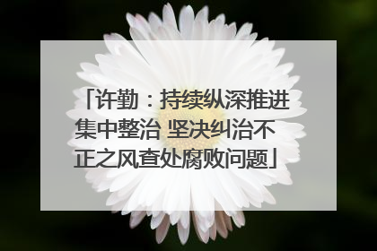 许勤：持续纵深推进集中整治 坚决纠治不正之风查处腐败问题