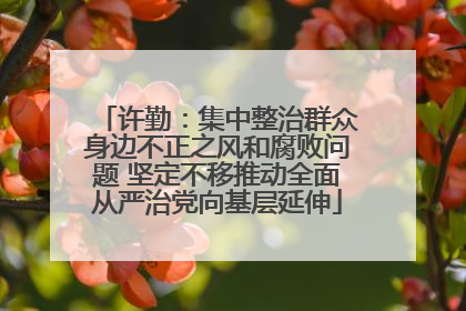 许勤：集中整治群众身边不正之风和腐败问题 坚定不移推动全面从严治党向基层延伸