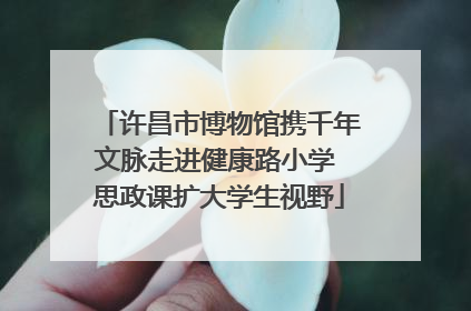 许昌市博物馆携千年文脉走进健康路小学 思政课扩大学生视野