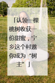 认领一棵桃树收获一份甜蜜，宁乡这个村邀你成为“树主”