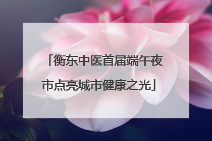 衡东中医首届端午夜市点亮城市健康之光
