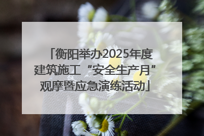 衡阳举办2025年度建筑施工“安全生产月”观摩暨应急演练活动