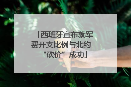 西班牙宣布就军费开支比例与北约“砍价”成功