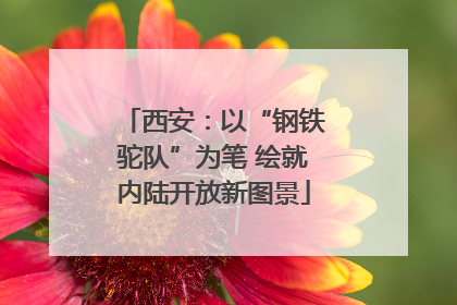 西安：以“钢铁驼队”为笔 绘就内陆开放新图景
